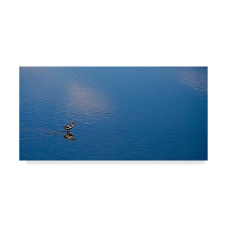 American School 'Lone Bird On Owens Lake' Canvas Art,10x19